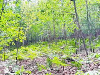 N Leaton Road, Mount Pleasant, MI 48858