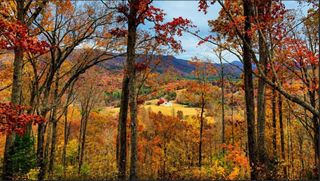 20 Fly Cast Overlook, Hayesville, NC 28904