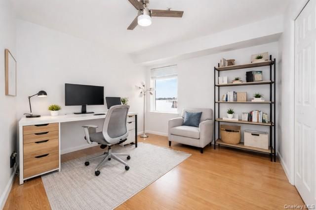 1436 Outlook Avenue 2, Bronx, NY 10465