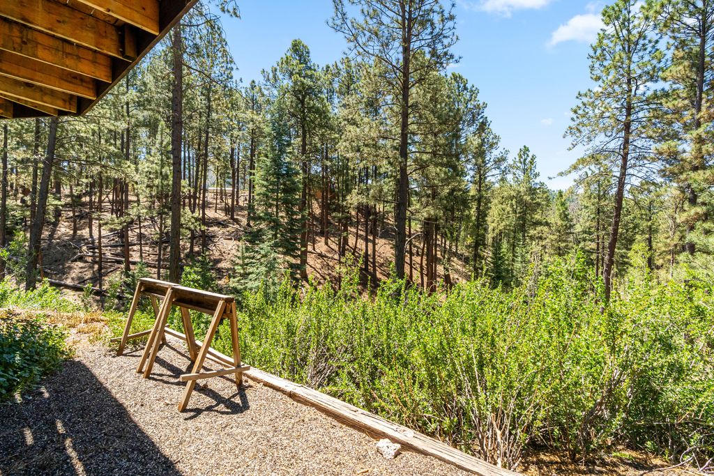 Image 48 of property listing at 241 Trilobite Trail, Jemez Springs, NM 87025