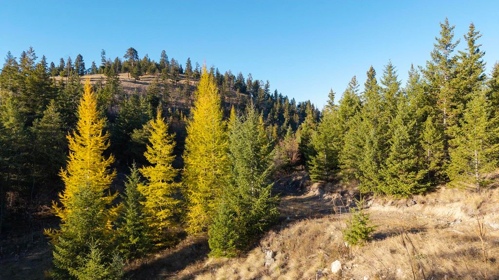 351 Ridge Line Drive, Lakeside, MT 59922 photo 10