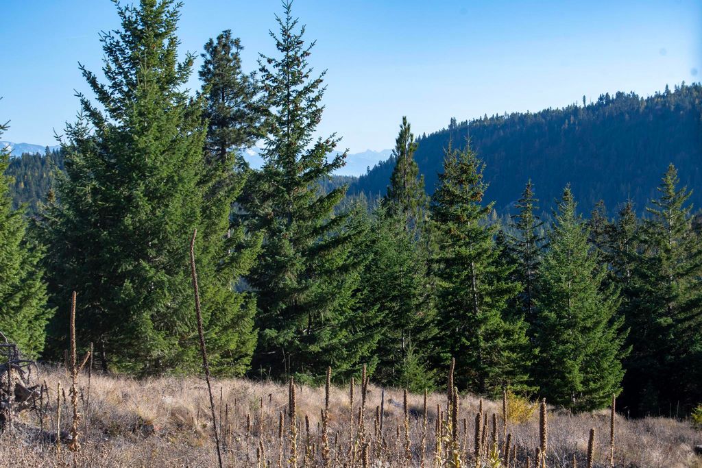 351 Ridge Line Drive, Lakeside, MT 59922 photo 12