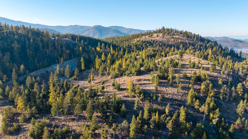 351 Ridge Line Drive, Lakeside, MT 59922 photo 3