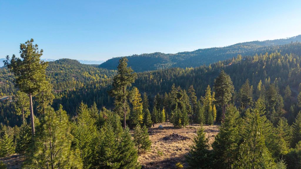 351 Ridge Line Drive, Lakeside, MT 59922 photo 9