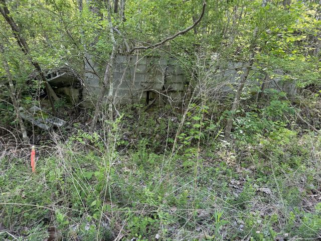 0 Woodmont Dr, Centerville, TN 37033