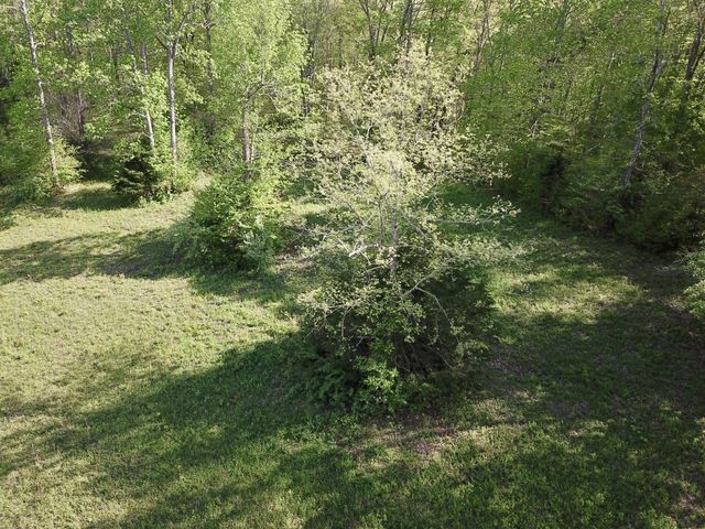 0 Woodmont Dr, Centerville, TN 37033
