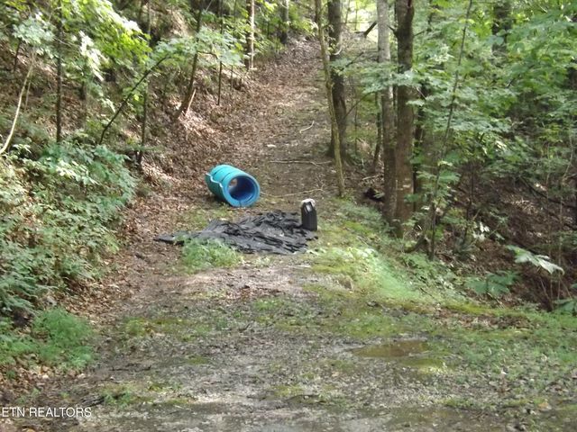 TBD Middle Court, New Tazewell, TN 37825