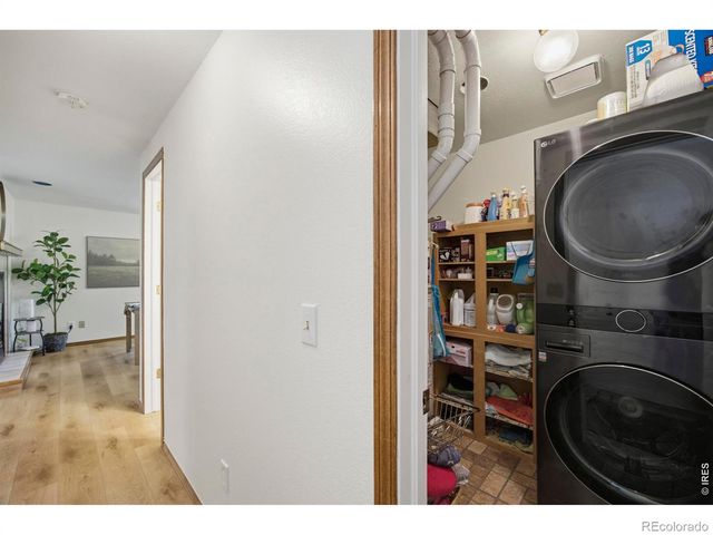 1807 Enfield Street, Fort Collins, CO 80526