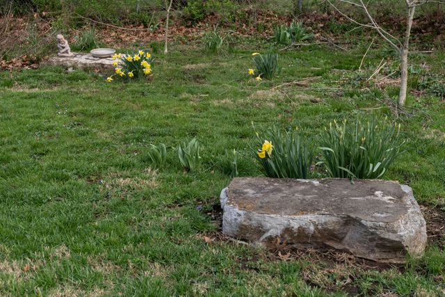 131 Montgomery Avenue, Versailles, KY 40383