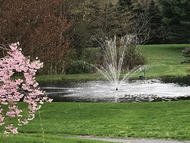 1532 34th Street, Allegan, MI 49010