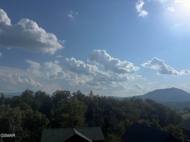 1091 Towering Oaks Drive, Sevierville, TN 37876