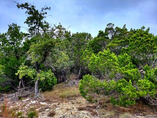 171,193 Appaloosa Dr, Fischer, TX 78623