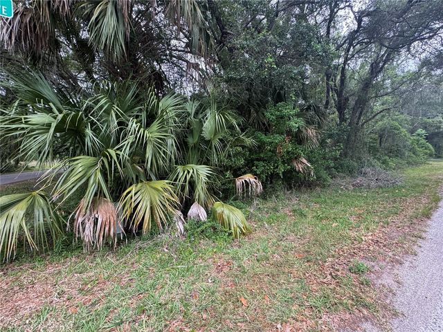 874 N SAVARY AVENUE, Inverness, FL 34453