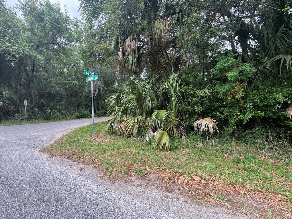 874 N SAVARY AVENUE, Inverness, FL 34453