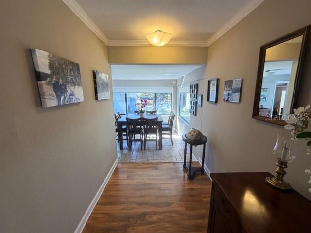 23404 HOBDY ROAD, Sorrento, FL 32776