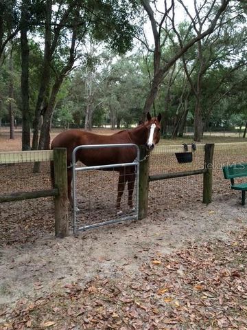 23404 HOBDY ROAD, Sorrento, FL 32776