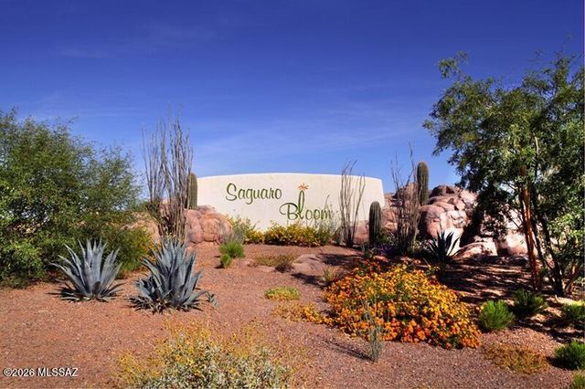 10192 N Leopard Gecko Terrace, Marana, AZ 85653