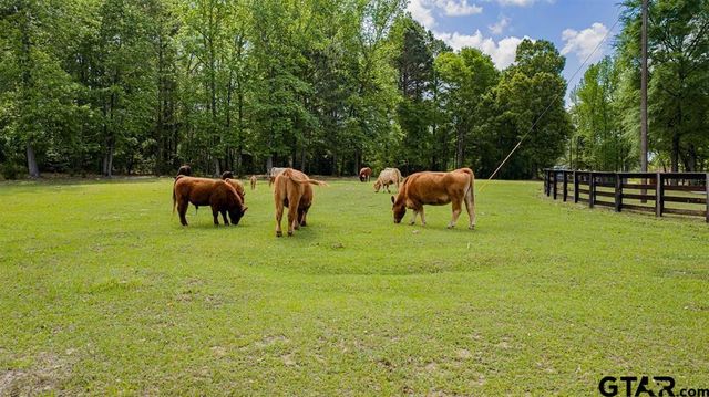 617 PR 1134, Gilmer, TX 75644