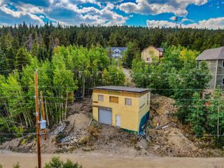 343 N Pine Street, Alma, CO 80420