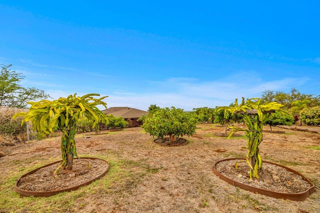 126 Hoomaikai Pl, Kula, HI 96790