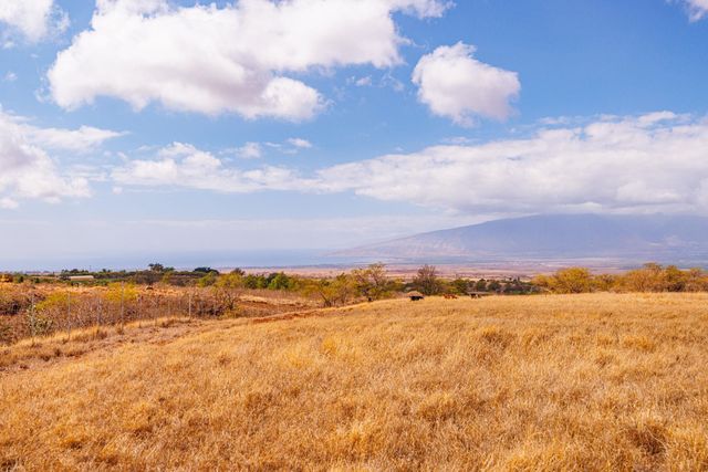 126 Hoomaikai Pl, Kula, HI 96790