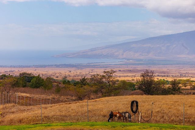 126 Hoomaikai Pl, Kula, HI 96790