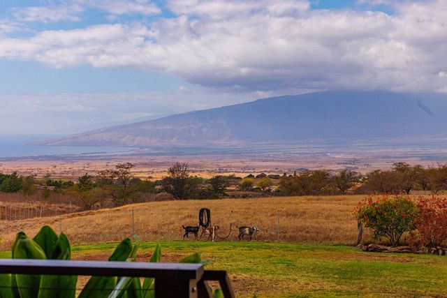 126 Hoomaikai Pl, Kula, HI 96790