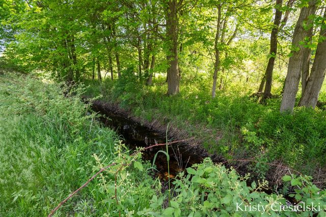 2162 S Stone Road, Fremont, MI 49412
