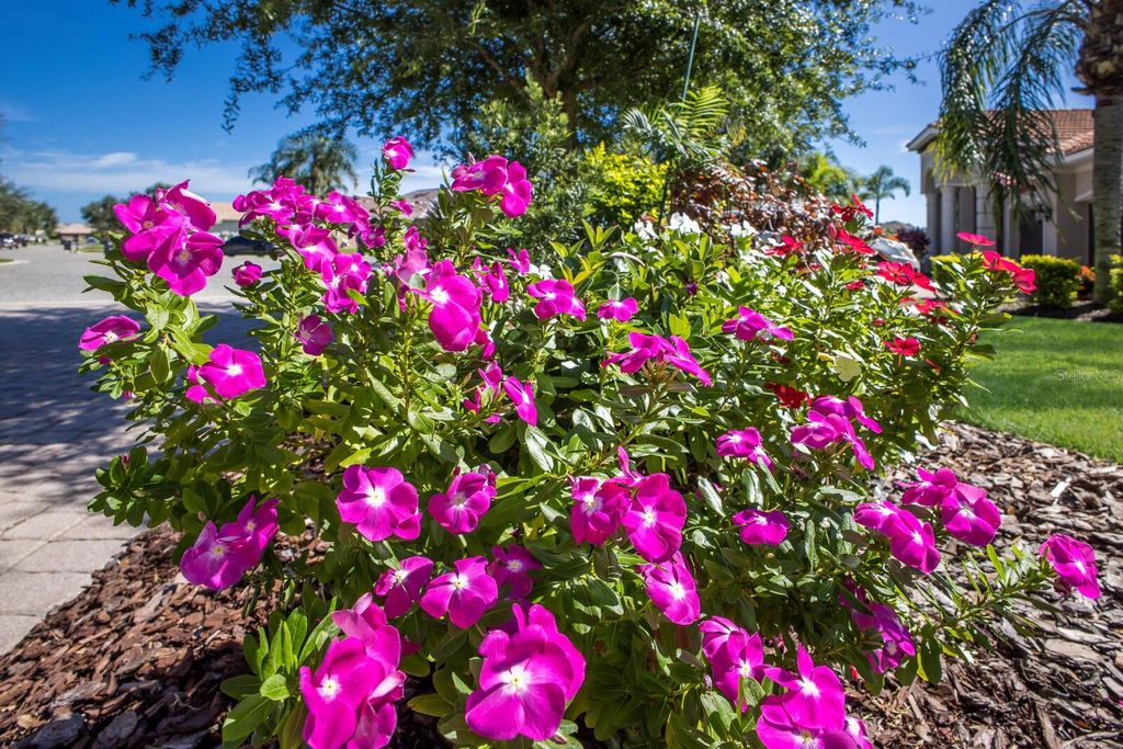 Image 48 of property listing at 12838 DAISY PLACE, Bradenton, FL 34212