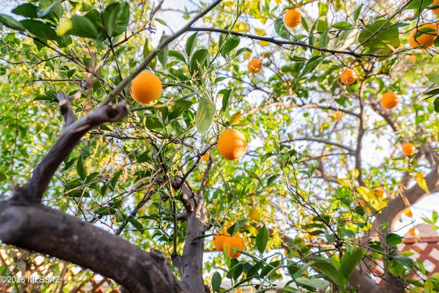 465 W Calle Lindero, Tucson, AZ 85704