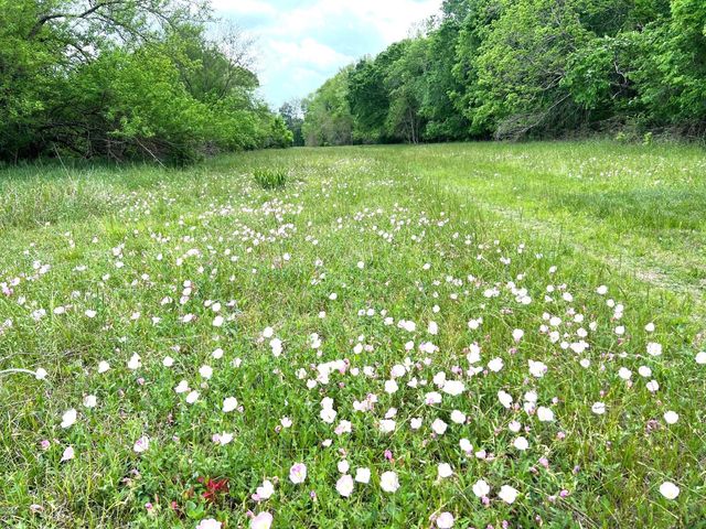 10463 Highway 36, Bellville, TX 77418