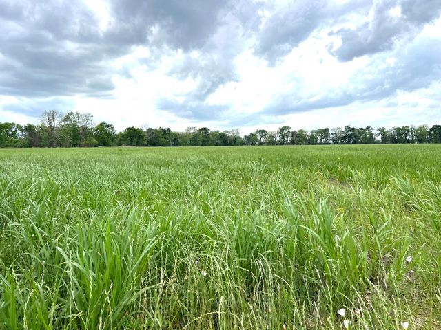 10463 Highway 36, Bellville, TX 77418