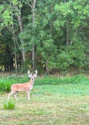 10463 Highway 36, Bellville, TX 77418