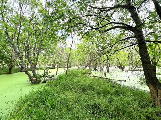 10463 Highway 36, Bellville, TX 77418
