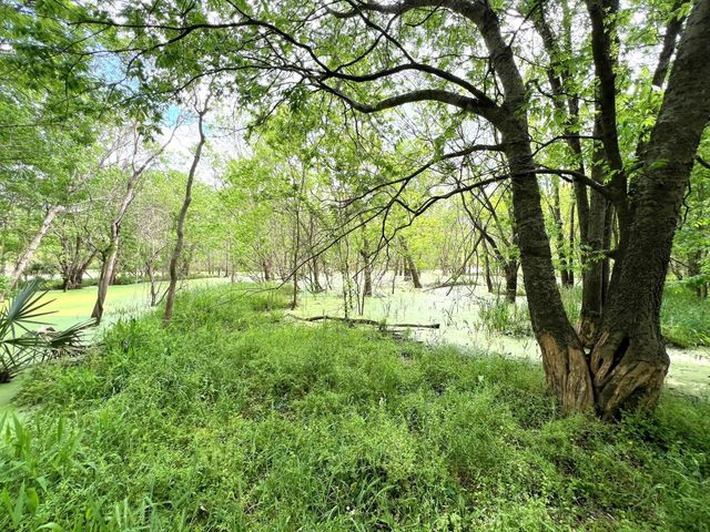 10463 Highway 36, Bellville, TX 77418