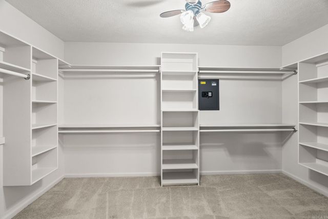 40 Pine Mountain Dr, Conway, AR 72034