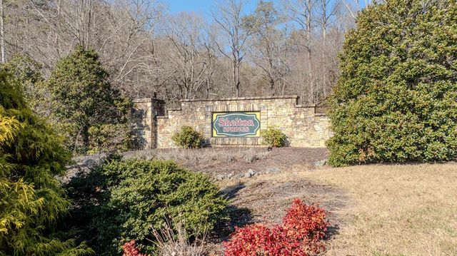 Lot 29 Broadtree Ridge, Hayesville, NC 28904