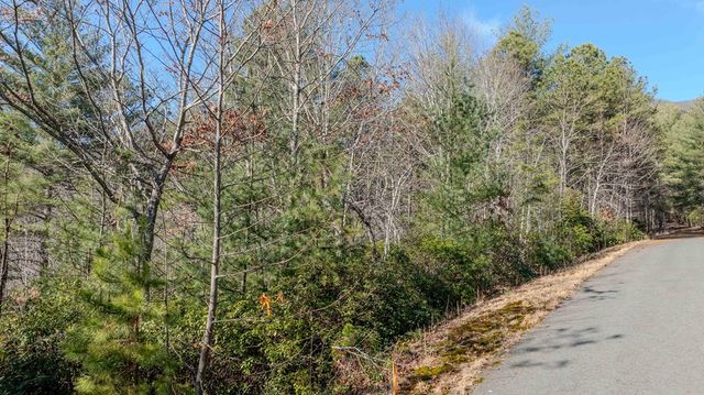 Lot 29 Broadtree Ridge, Hayesville, NC 28904