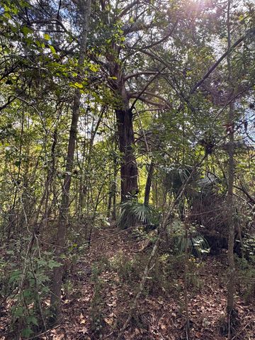 104 Cypress Rd, Satsuma, FL 32189