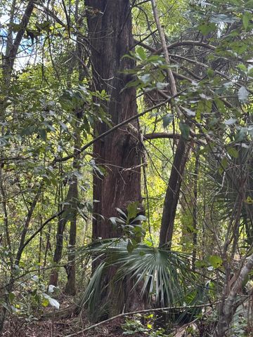 104 Cypress Rd, Satsuma, FL 32189