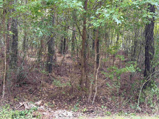 104 Cypress Rd, Satsuma, FL 32189