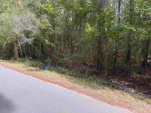 104 Cypress Rd, Satsuma, FL 32189