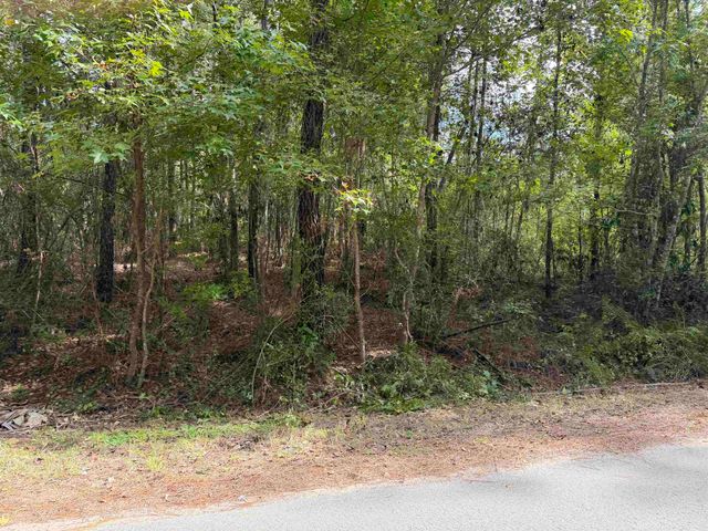 104 Cypress Rd, Satsuma, FL 32189