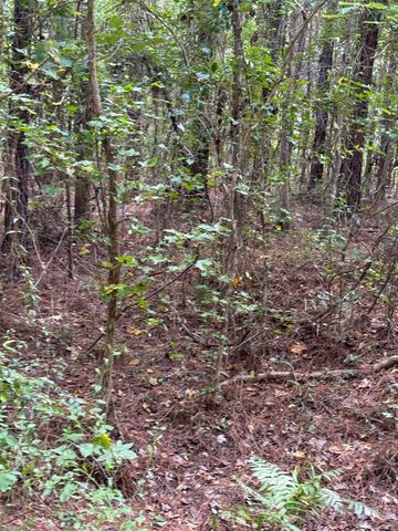 104 Cypress Rd, Satsuma, FL 32189