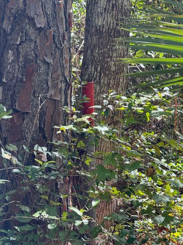 104 Cypress Rd, Satsuma, FL 32189