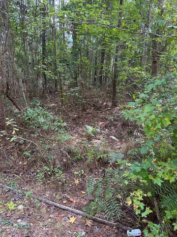 104 Cypress Rd, Satsuma, FL 32189