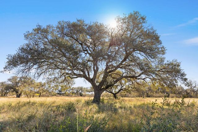 Tract 9 Pedernales Canyon Trail, Spicewood, TX 78669