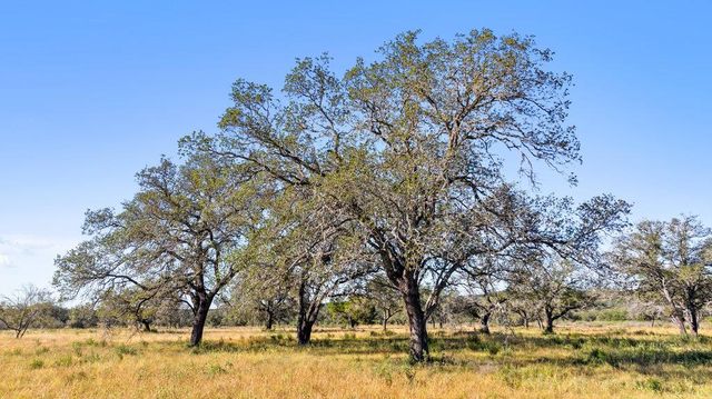 Tract 9 Pedernales Canyon Trail, Spicewood, TX 78669