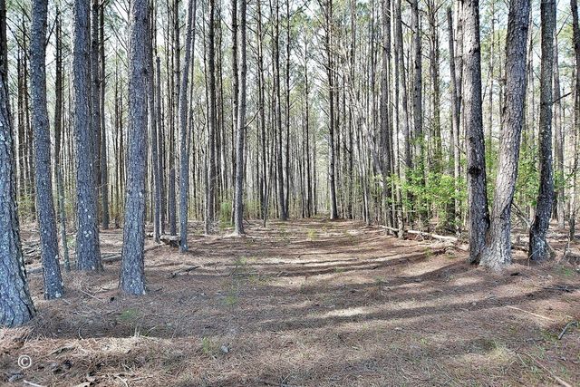 1166 - 12.50 B Street 12.5, Pine Mountain Valley, GA 31823