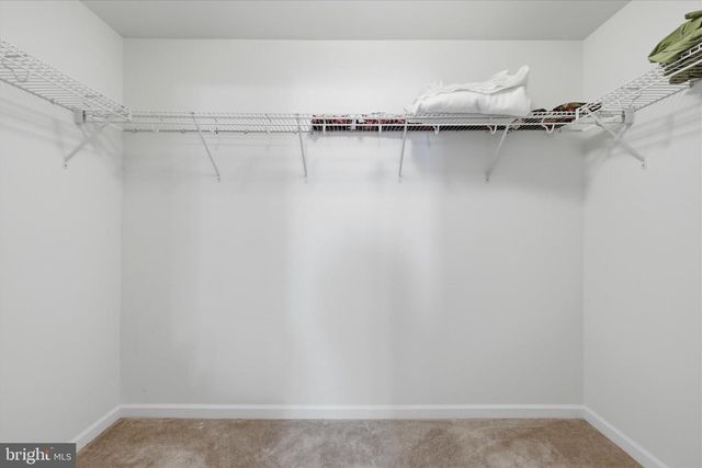 141 CASORSA DR, Charles Town, WV 25414